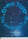 Jewish Life Cycle By Sam Rabbi Kieffer Cover Image