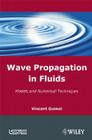 Wave Propagation in Fluids: Models and Numerical Techniques By Vincent Guinot Cover Image