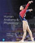 Human Anatomy & Physiology Plus Mastering A&p with Pearson Etext -- Access Card Package [With eBook] By Elaine Marieb, Katja Hoehn Cover Image