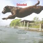 Unleashed: Climbing Canines, Hiking Hounds, Fishing Fidos, and Daring Dogs By Lisa Wogan Cover Image