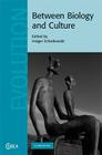 Between Biology and Culture (Cambridge Studies in Biological and Evolutionary Anthropolog #56) By Holger Schutkowski (Editor) Cover Image
