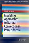 Modeling Approaches to Natural Convection in Porous Media Cover Image