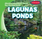 Lagunas / Ponds By Jagger Youssef, Eida de la Vega (Translator) Cover Image