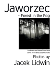 Jaworzec - Forest in the Fog: Landscape and Nature Photo Book By Jacek Lidwin Cover Image