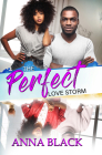 The Perfect Love Storm By Anna Black Cover Image