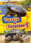 Turtle or Tortoise? By Kirsten Chang Cover Image
