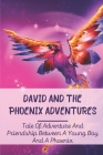 David And The Phoenix Adventures: Tale Of Adventure And Friendship Between A Young Boy And A Phoenix: David And The Phoenix Book By Chelsea Augustson Cover Image