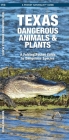 Texas Dangerous Animals & Plants: A Folding Pocket Guide to Dangerous Species Cover Image