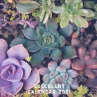 Succulent Calendar 2021: January 2021 - December 2021 Square Photo Book Monthly Planner Calendar Gift For Succulent Lover - Succulent Mom or Da By Bluegorilla Studio Cover Image