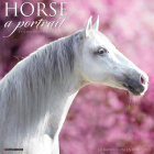 Horse: A Portrait 2023 Wall Calendar By Willow Creek Press Cover Image