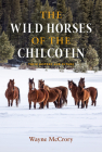 The Wild Horses of the Chilcotin: Their History and Future By Wayne McCrory Cover Image
