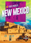 New Mexico By Alicia Klepeis Cover Image