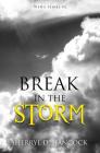 Break in the Storm (Weho #2) Cover Image
