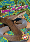Black Mambas (Slithering Snakes) Cover Image