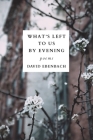 What's Left to Us by Evening By David Ebenbach Cover Image