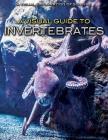 A Visual Guide to Invertebrates (Visual Exploration of Science) Cover Image