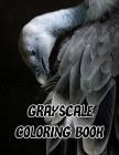 Grayscale Coloring Book: Grayscale Adults Coloring Book Pages for Relaxation and Mediation with Challenge Images Jumbo Size By Arika Williams Cover Image
