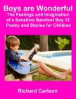 Boys are Wonderful The Feelings and Imagination of a Sensitive Barefoot Boy 12: Poetry and Stories for Children Cover Image
