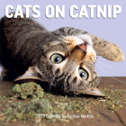 Cats on Catnip Wall Calendar 2025 By Andrew Marttila, Workman Calendars Cover Image