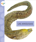 Las anguilas (Animales del océano) Cover Image