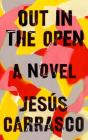 Out in the Open: A Novel Cover Image
