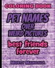 Coloring Book - Pet Names over Weird Pictures - Color Your Imagination: 100 Pet Names + 100 Weird Pictures - 100% FUN - Great for Adults Cover Image
