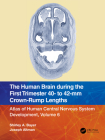 The Human Brain during the First Trimester 40- to 42-mm Crown-Rump Lengths: Atlas of Human Central Nervous System Development, Volume 6 Cover Image