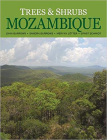 Trees and Shrubs of Mozambique By John Burrows, Sandra Burrows, Mervyn Lötter, Ernst Schmidt Cover Image