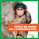 Crías de Mono En La Naturaleza (Monkey Infants in the Wild) By Marie Brandle Cover Image