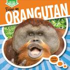 Being an Orangutan (Can You Imagine?) By Michael Sabatino Cover Image