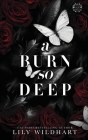 A Burn So Deep: Alternate Cover By Lily Wildhart Cover Image