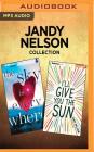 Jandy Nelson Collection - The Sky Is Everywhere & I'll Give You the Sun By Jandy Nelson, Julia Whelan (Read by), Jesse Bernstein (Read by) Cover Image