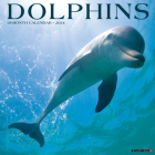 Dolphins 2024 12 X 12 Wall Calendar By Willow Creek Press Cover Image
