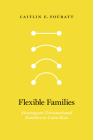 Flexible Families: Nicaraguan Transnational Families in Costa Rica By Caitlin E. Fouratt Cover Image