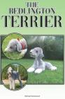 The Bedlington Terrier: A Complete and Comprehensive Beginners Guide To: Buying, Owning, Health, Grooming, Training, Obedience, Understanding By Michael Stonewood Cover Image