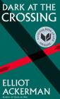 Dark at the Crossing: A novel Cover Image