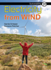 Electricity from Wind: Book 31 (Sustainability #31) By Carole Crimeen, Suzanne Fletcher (Illustrator) Cover Image