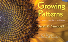 Growing Patterns: Fibonacci Numbers in Nature By Sarah C. Campbell, Richard P. Campbell (Photographs by) Cover Image