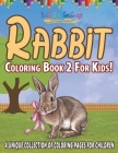 Rabbit Coloring Book 2 For Kids! By Bold Illustrations Cover Image