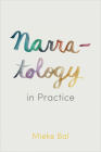 Narratology in Practice Cover Image