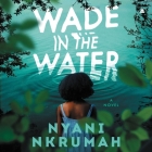 Wade in the Water By Nyani Nkrumah, Nyaneba Nkrumah, Eboni Flowers (Read by) Cover Image