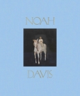 Noah Davis By Noah Davis, Helen Molesworth (Editor) Cover Image