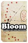 Kabbalah and Criticism (Continuum Impacts #33) By Harold Bloom Cover Image