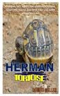 Herman Tortoise: Amazing Fact About The Herman Tortoise, Their Care Guides And How They Can Make Wonderful Pet Cover Image