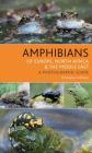 Amphibians of Europe, North Africa and the Middle East: A Photographic Guide (Bloomsbury Naturalist) By Christophe Dufresnes Cover Image