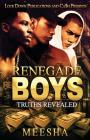 Renegade Boys: Truths Revealed By Meesha Cover Image