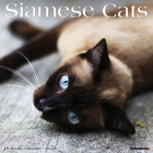 Siamese Cats 2024 12 X 12 Wall Calendar By Willow Creek Press Cover Image