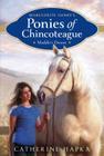 Maddie's Dream (Marguerite Henry's Ponies of Chincoteague #1) Cover Image