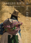 Changing Birth in the Andes: Culture, Policy, and Safe Motherhood in Peru By Lucia Guerra-Reyes Cover Image
