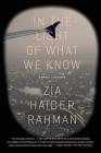 In the Light of What We Know: A Novel By Zia Haider Rahman Cover Image